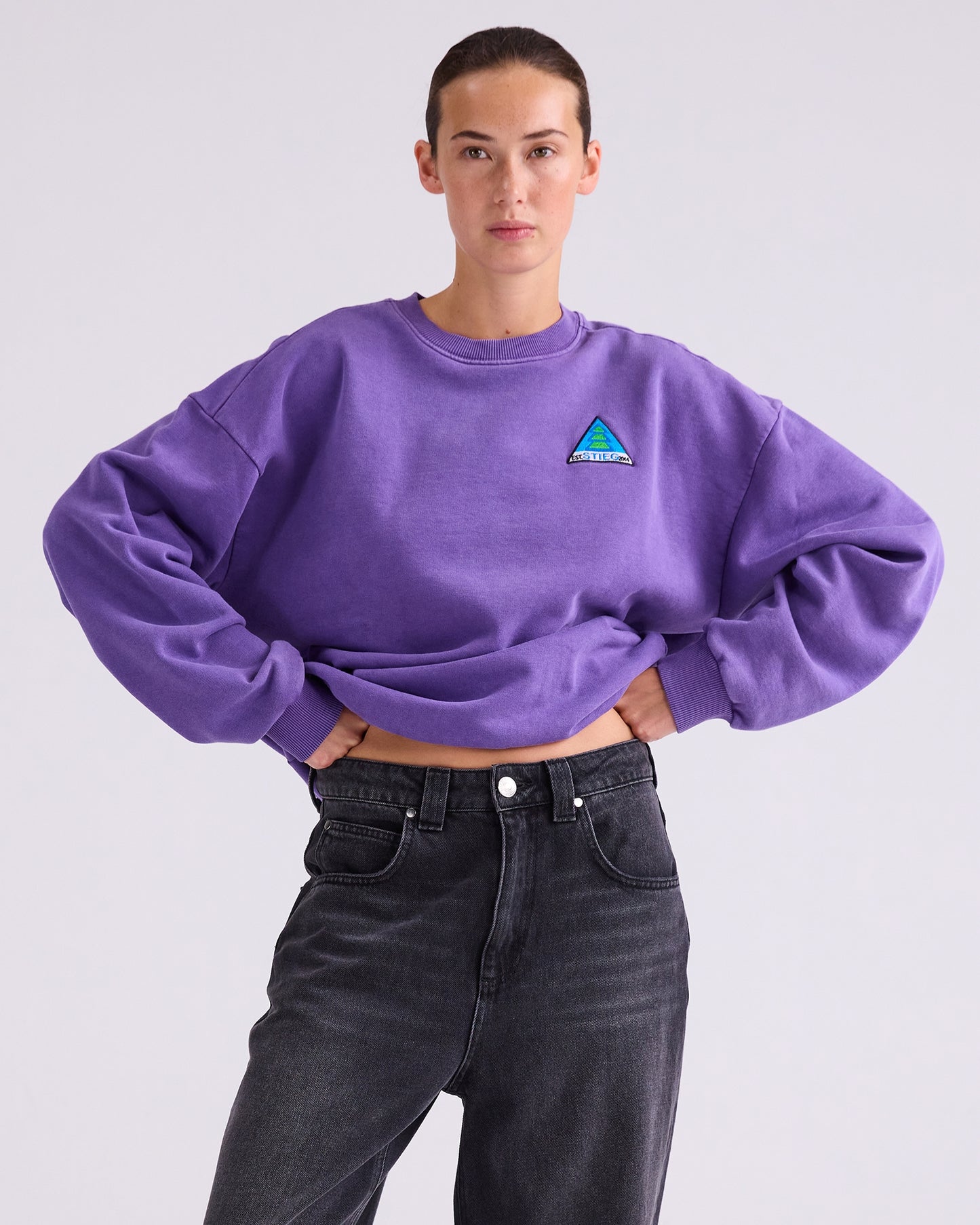 Cisco Sweater | Purple