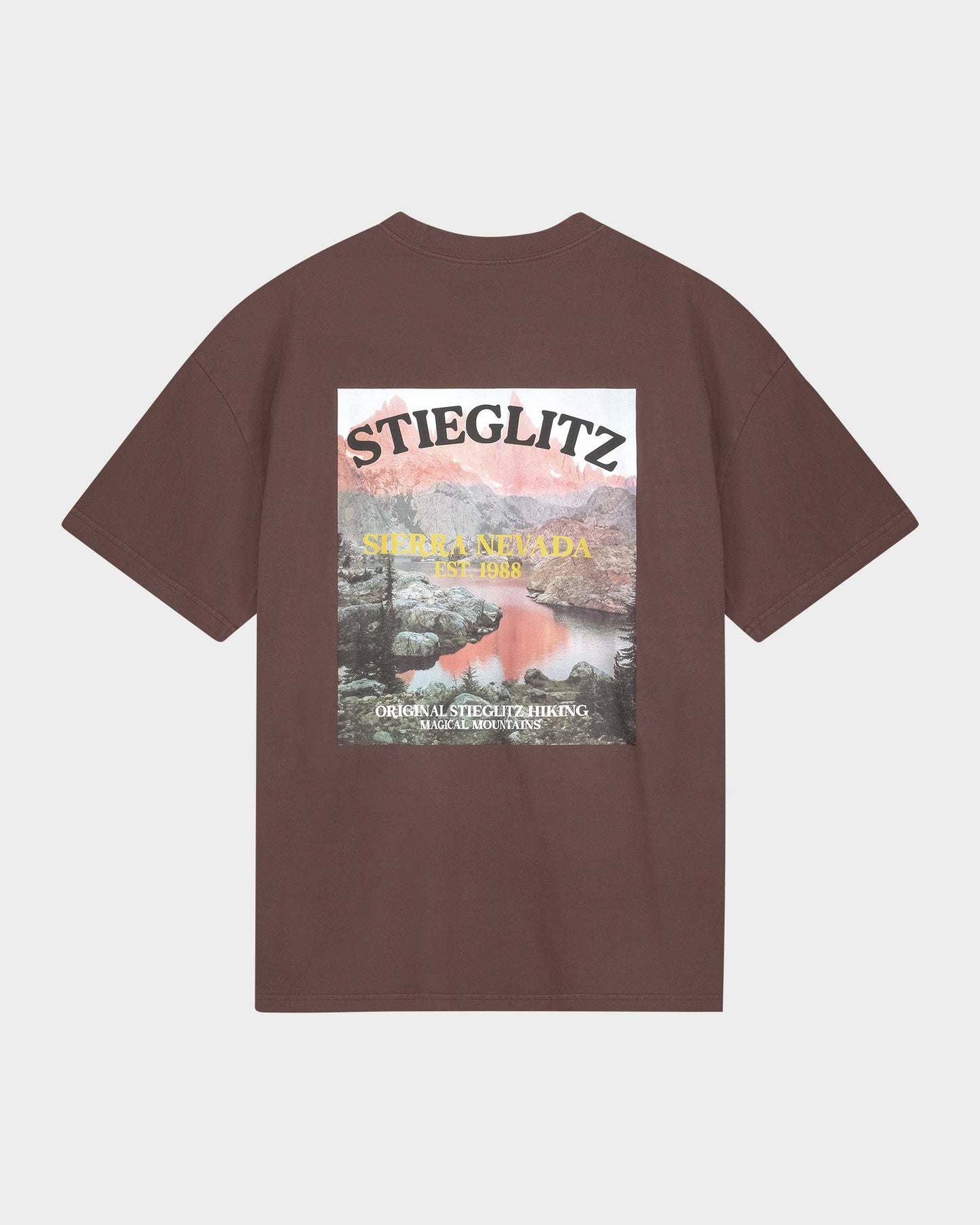 Miquel Oversized T-shirt | Brown