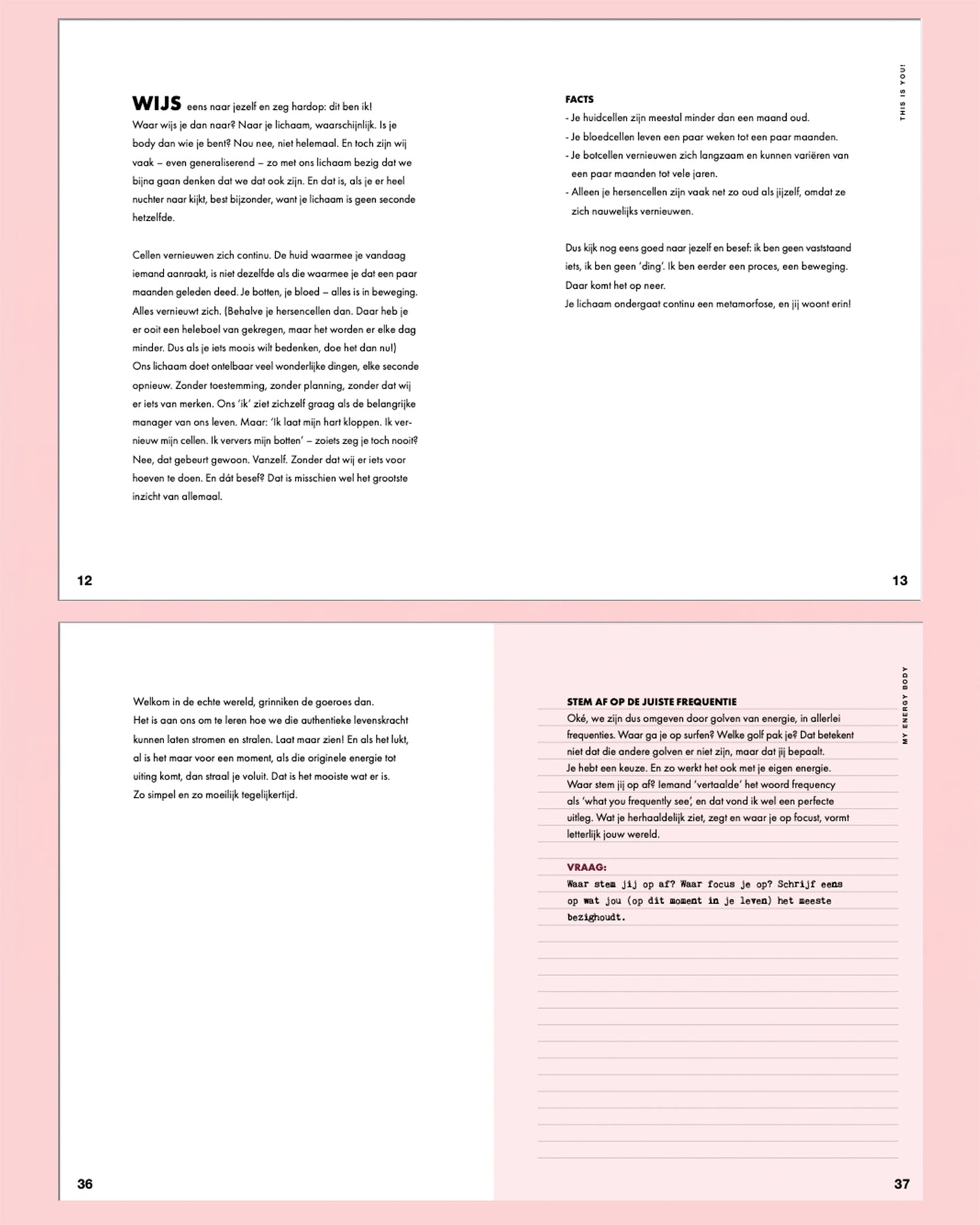 Stieglitz Journal For More Energy | White