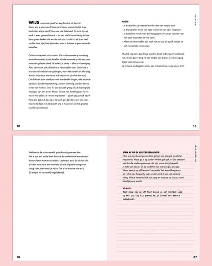 Stieglitz Journal For More Energy | White