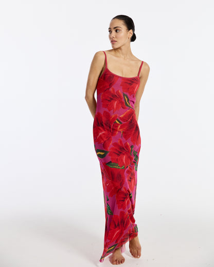 Marie Spagetti Mesh Dress | Red