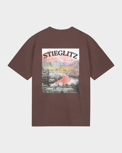 Miquel Oversized T-shirt | Brown