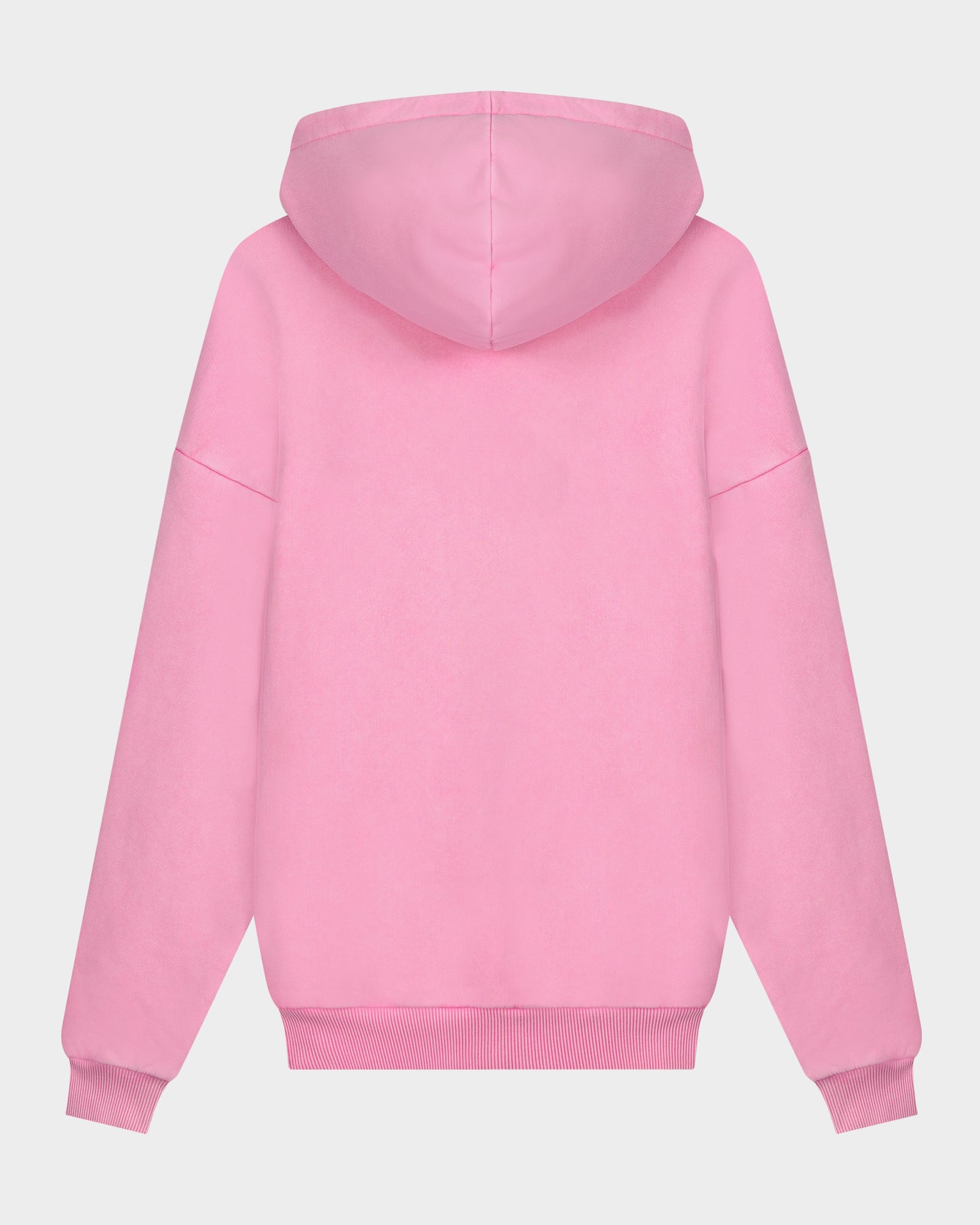 Worn Out Stieg Hoodie
